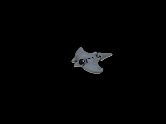 The Tiny Stingray